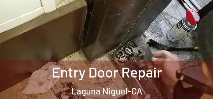 Entry Door Repair Laguna Niguel-CA